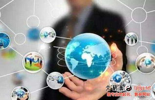 网络科技公司起名指南与禁忌