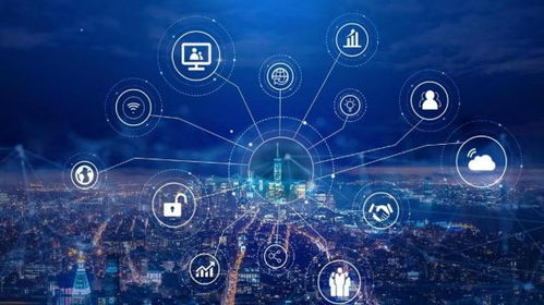 织信Informat 企业级低代码应用开发，深化场景赋能网络信息技术